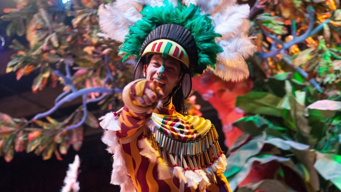 Dansator la carnavalul de la Rio de Janeiro