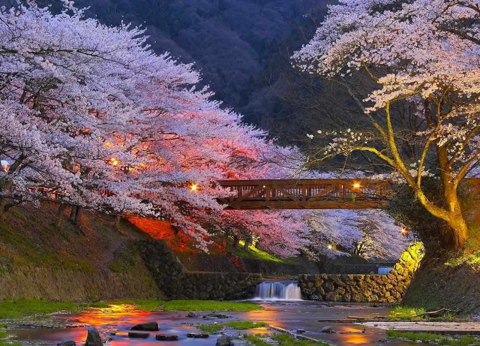 locuri romantice - Kyoto